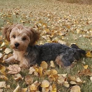 Meet your Posher, Crystal